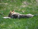 100_5924.JPG