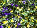 100_7605.JPG