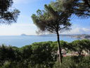 Napoli_038.jpg