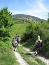 1065_Montalone.jpg