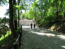 1135.jpg