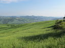 200_la_Valle_del_Foglia.jpg