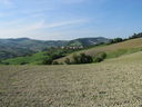 210_M_S_Giovanni.jpg