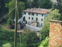 485_Petrelle.jpg