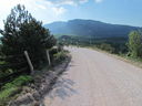 535_M_Carpegna.jpg