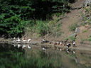 Armenia_2012_109.JPG