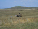 Armenia_2012_155.JPG