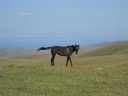 Armenia_2012_159.JPG