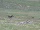 Armenia_2012_165.JPG