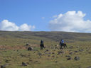 Armenia_2012_198.JPG
