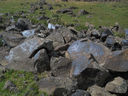 Armenia_2012_203.JPG