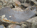 Armenia_2012_205.JPG