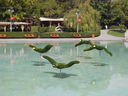 Armenia_2012_307.JPG