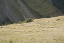 DSC00954.JPG