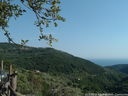 DSCF3017.JPG