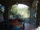 DSCF3040.JPG