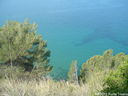 DSCF3110.JPG