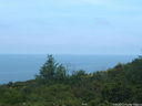 DSCF3114.JPG