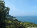 DSCF3116.JPG