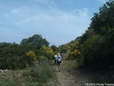 DSCF3117.JPG