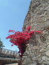 DSCF3128.JPG