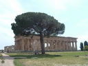 DSCF3145.JPG