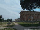 DSCF3146.JPG