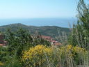 DSCF3173.JPG