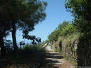 DSCF3176.JPG