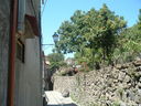 DSCF3178.JPG