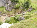 DSCN0571.JPG