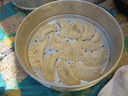 DSCN1517.JPG