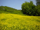 DSCN1797.JPG