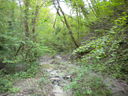 DSCN1800.JPG