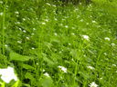 DSCN1803.JPG