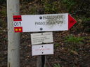 DSCN1830.JPG