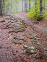 DSCN1834.JPG