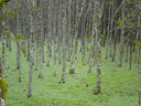 DSCN1836.JPG