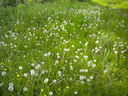 DSCN1883.JPG