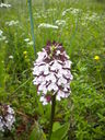 DSCN1902.JPG