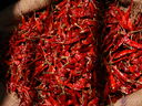 DSCN4385.JPG