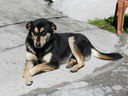 DSCN4494.JPG