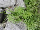 DSCN4868.JPG