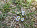 DSCN4886.JPG