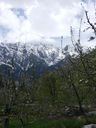DSCN4973.JPG