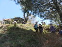 DSCN5106.JPG