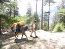 DSCN5128.JPG