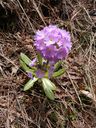 DSCN5215.JPG