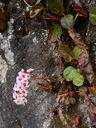 DSCN5398.JPG