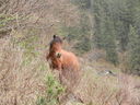 DSCN5421.JPG